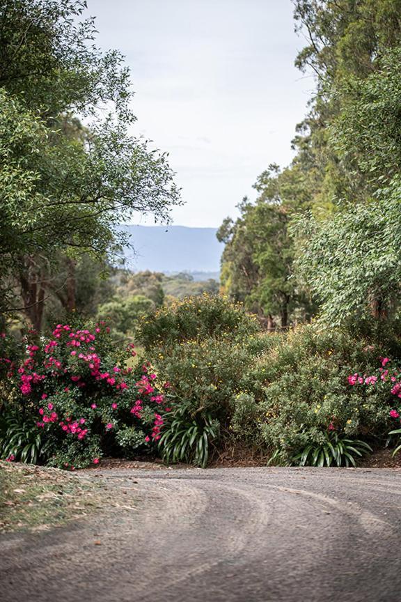 Avoca Park Equestrian Farmstay Macclesfield Esterno foto