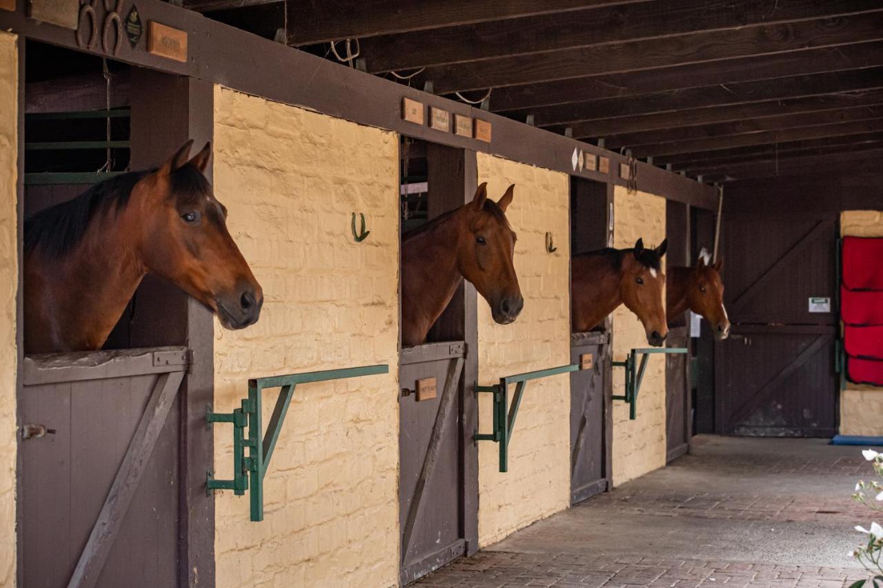 Avoca Park Equestrian Farmstay Macclesfield Esterno foto