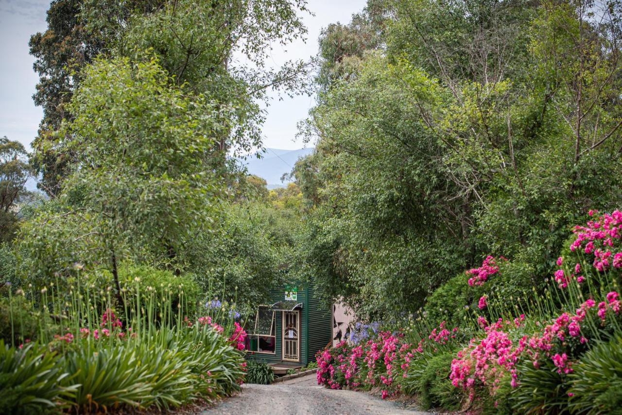 Avoca Park Equestrian Farmstay Macclesfield Esterno foto