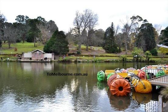 Avoca Park Equestrian Farmstay Macclesfield Esterno foto