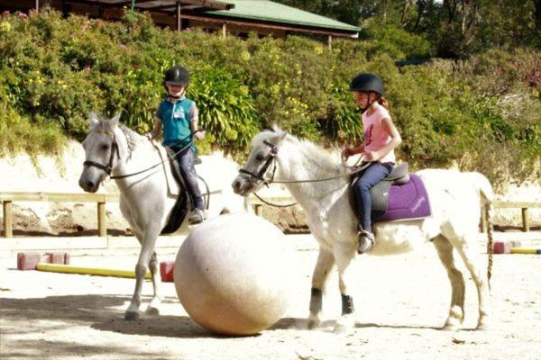 Avoca Park Equestrian Farmstay Macclesfield Esterno foto