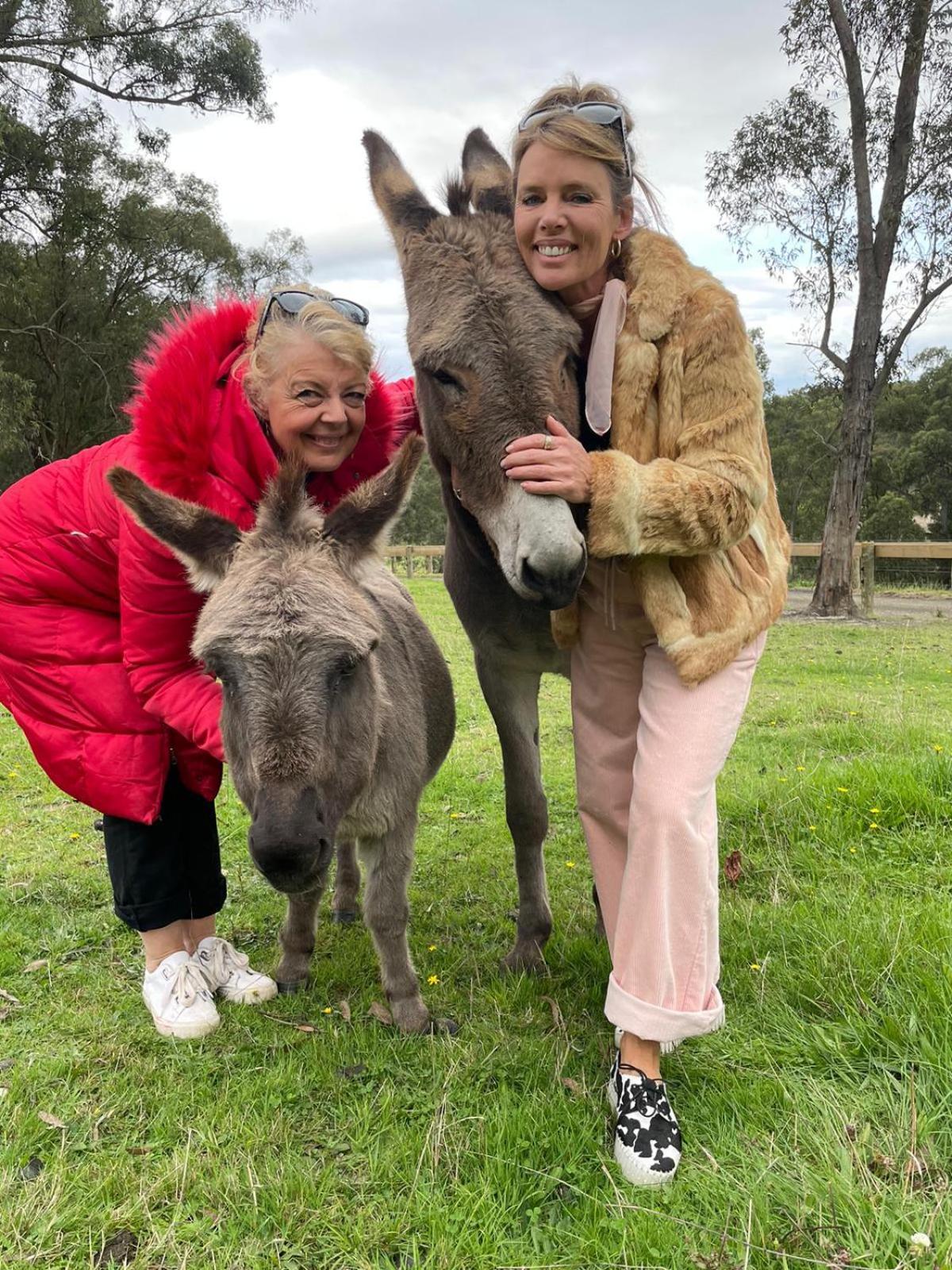 Avoca Park Equestrian Farmstay Macclesfield Esterno foto