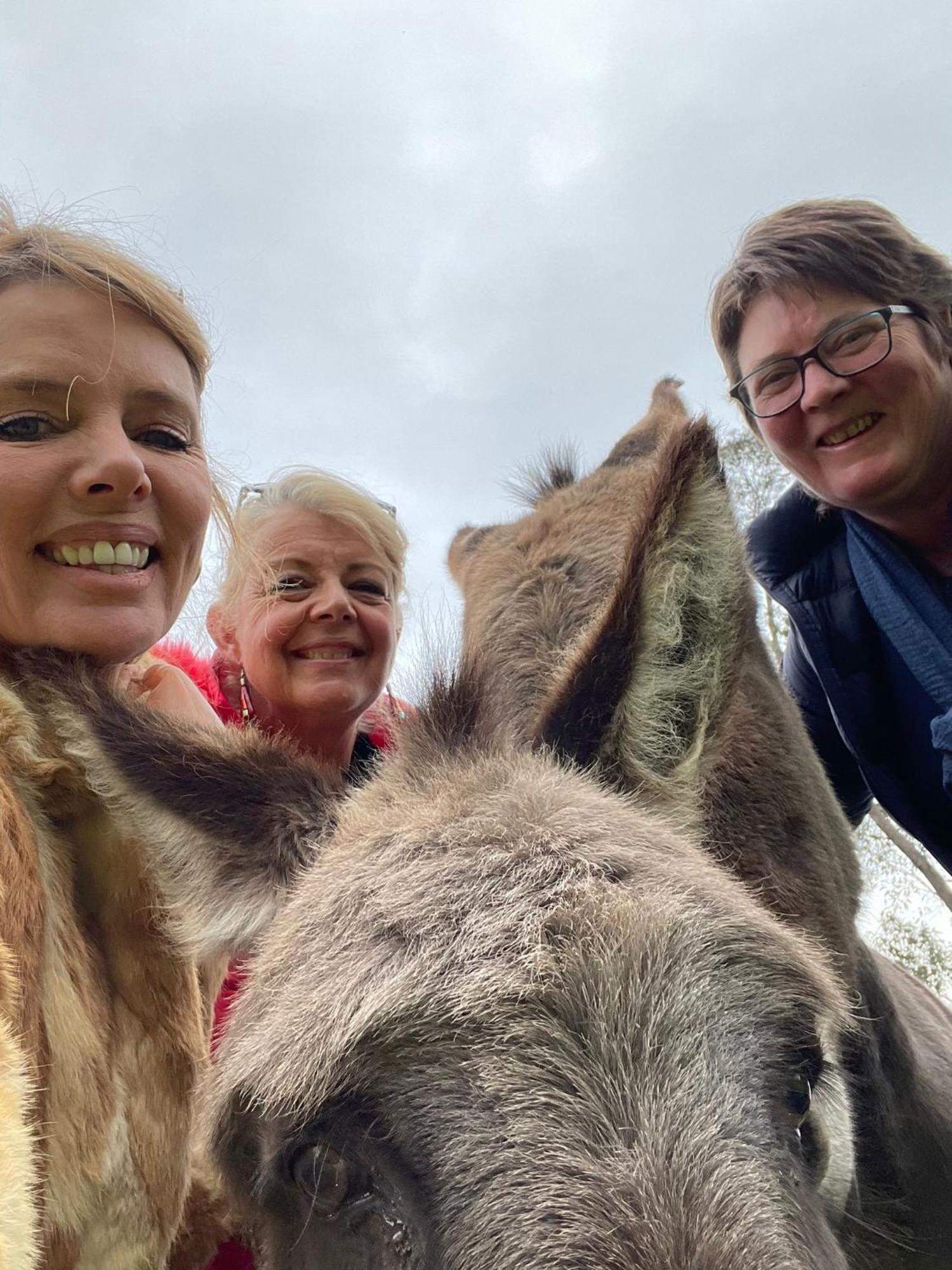 Avoca Park Equestrian Farmstay Macclesfield Esterno foto