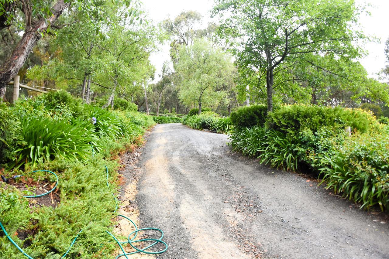 Avoca Park Equestrian Farmstay Macclesfield Esterno foto