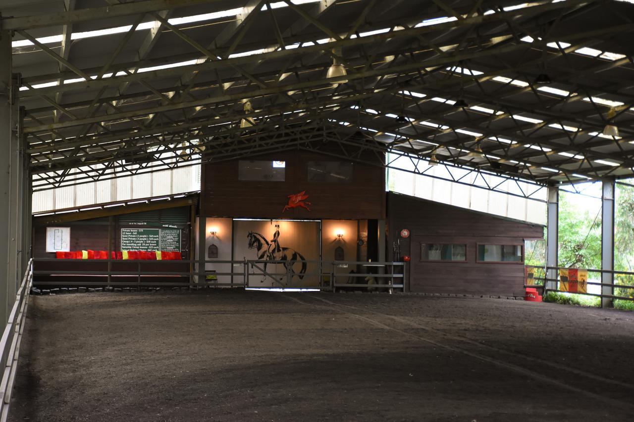 Avoca Park Equestrian Farmstay Macclesfield Esterno foto