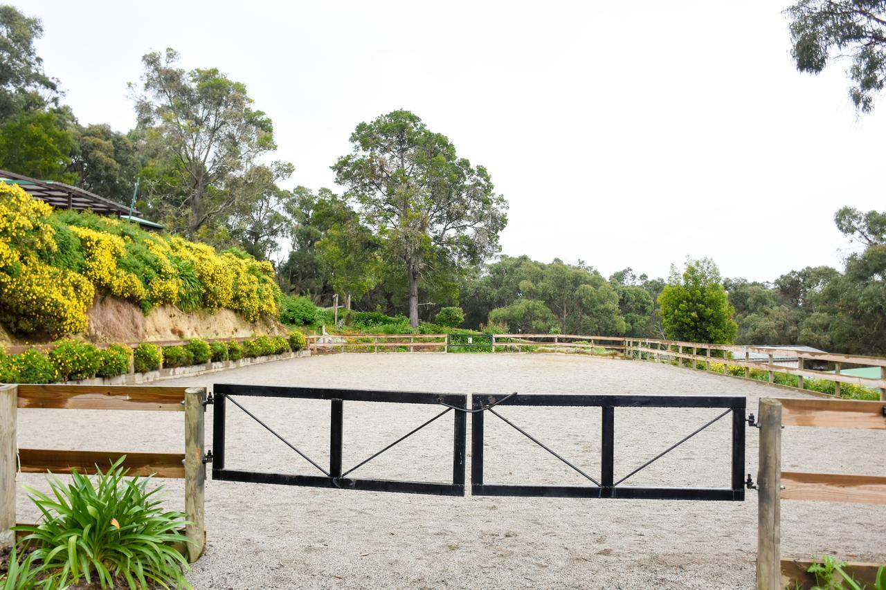 Avoca Park Equestrian Farmstay Macclesfield Esterno foto