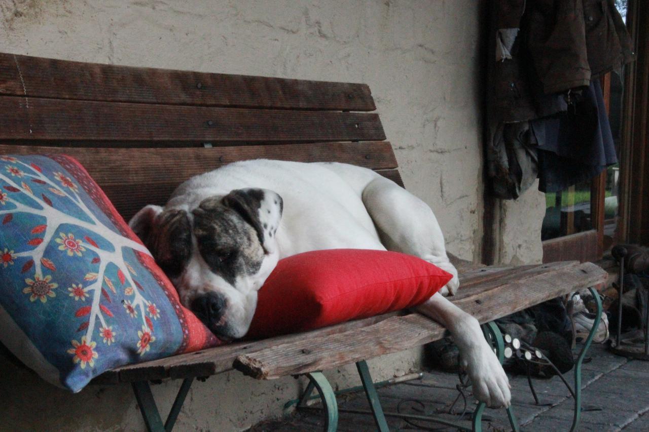 Avoca Park Equestrian Farmstay Macclesfield Esterno foto